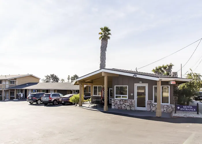 Motel: Ocean Palms Motel