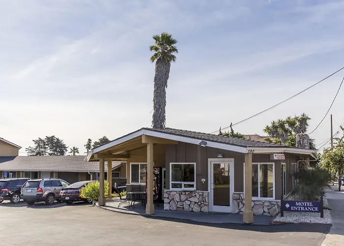 Motel: Ocean Palms Motel